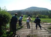 Our members are invited to visit a local farm at lambing time