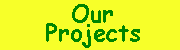 Supporting Organisations
