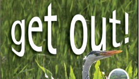 Macclesfield Borough Council, Forthcoming Ranger Events