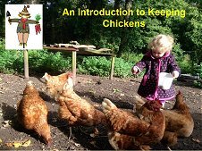 See our new Chicken keeping page