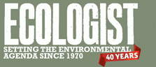 Environment & Climate Change news & features plus green living advice