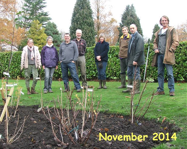 Victoria park Macclefield, planting of fruit bush bed